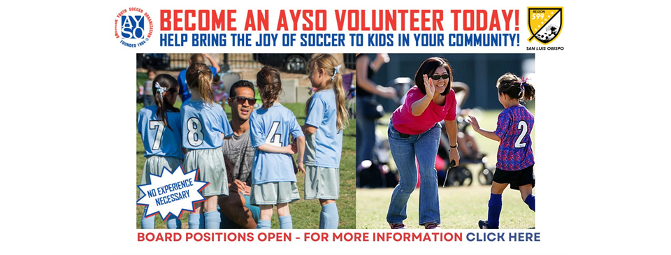 VOLUNTEER 2025